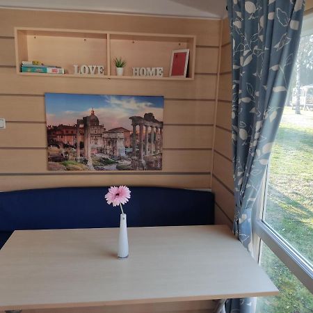 Smart Home Roma Mit Terrasse, Europapark, Rulantica 15Min Boofzheim Eksteriør billede