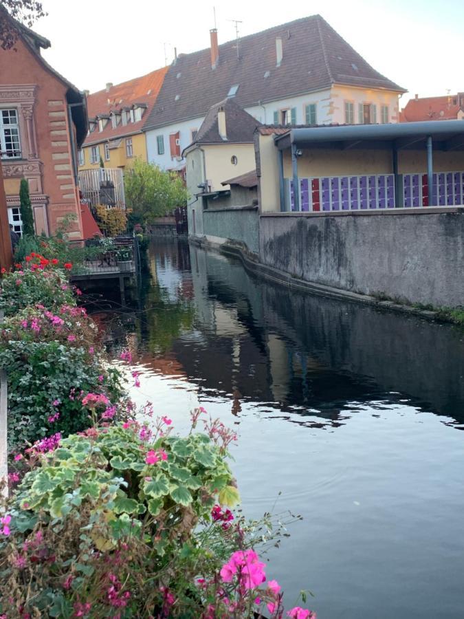 Smart Home Roma Mit Terrasse, Europapark, Rulantica 15Min Boofzheim Eksteriør billede